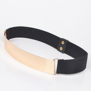 Metal Plate Elastic Belt